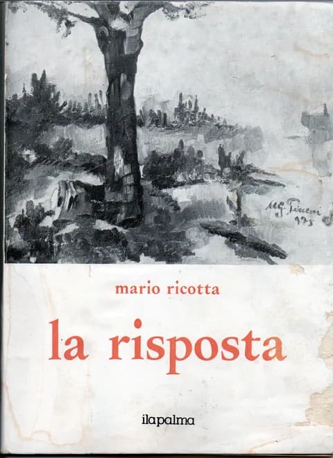 Copertina "la risposta"
